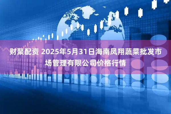 财聚配资 2025年5月31日海南凤翔蔬菜批发市场管理有限公司价格行情